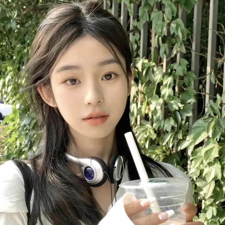 冰河世纪:猛犸象的圣诞